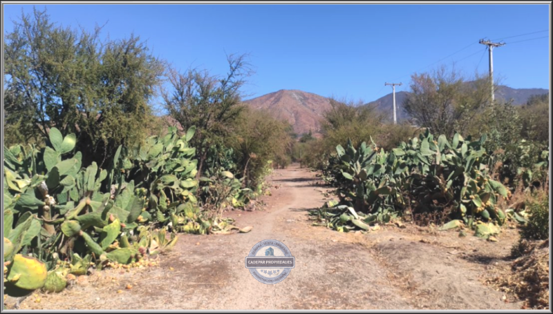 Oportunidad Vende Parcela Curacavã