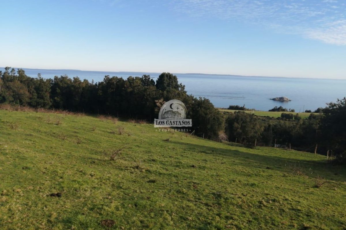 Parcela Quillaipe Carretera Austral