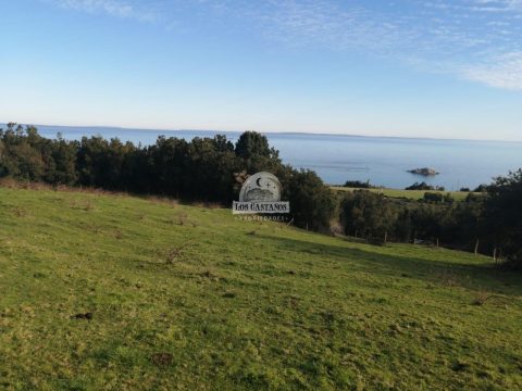 Terreno Venta en Puerto Montt — Parcela Quillaipe Carretera Austral