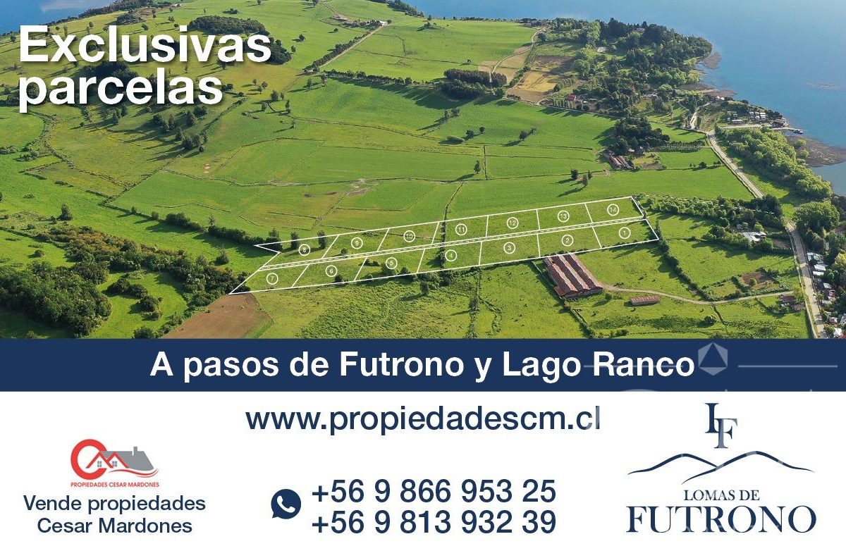Loteo En Futrono