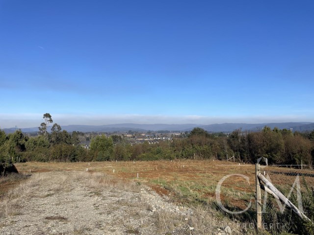 Excelentes Sitios Lomas De Torobayo