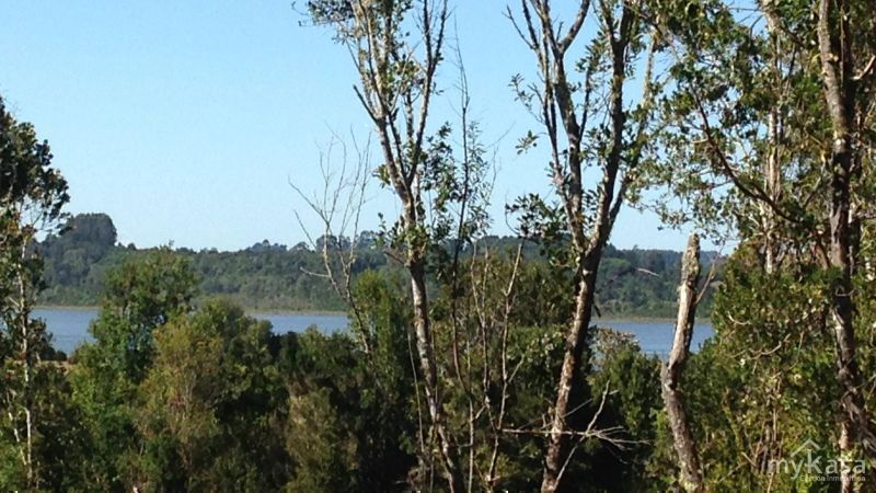 Parcela Ecologica Quenuir Alto