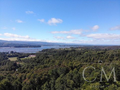 Parcela Venta en Valdivia — Parcela En Sector Rebellin