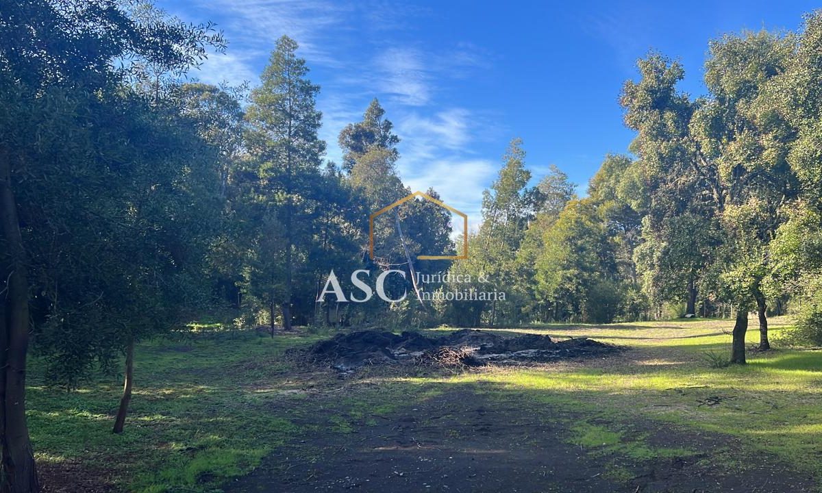 Parcela, Sector La Suerte.