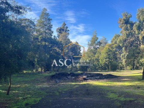 Terreno Venta en Los Ángeles — Parcela, Sector La Suerte.