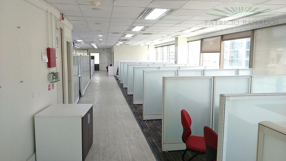 Piso Completo – Isidora Goyenechea