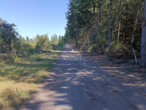 Parcela Venta en Los Ángeles — Se Vende Parcela Camino A Pedregal