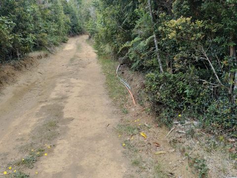 Parcela Venta en Valdivia — Terreno En Oncol