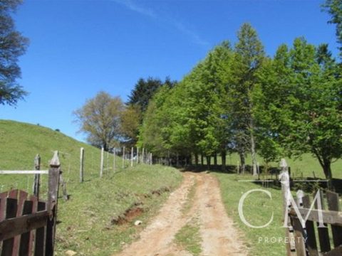 Terreno Venta en Valdivia — Campo Sector Los Guindos