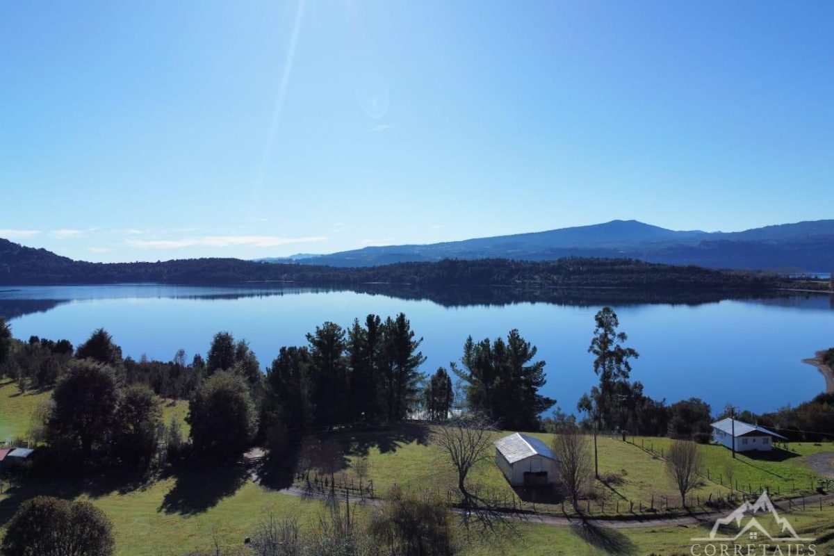 Campo Sector Islote Rupanco / 18 Hectáreas