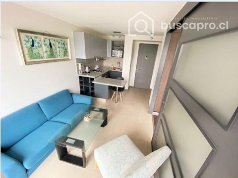 Departamento Arriendo en Concepción — Departamento A Pasos Parque Ecuador, 1D 1B