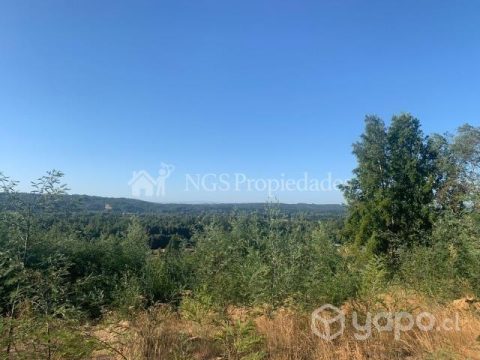 Terreno Venta en Valdivia — Parcela Con Cabaña Camino A Antilhue