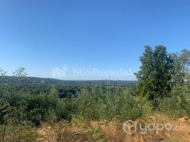 Parcela Con Cabaña Camino A Antilhue