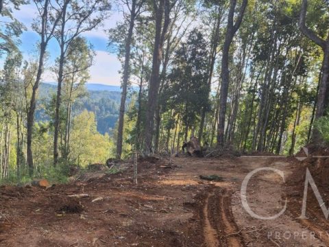 Parcela Venta en Valdivia — Parcela En Quitacalzon Alto
