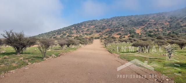 Hermosas Parcelas, Sector Collague, El Melã“N.
