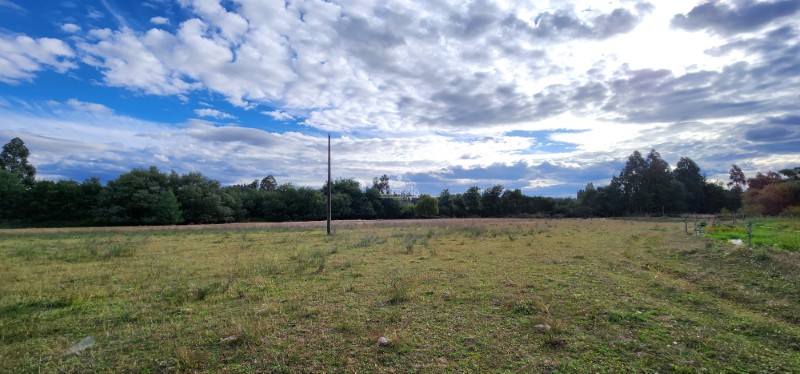 Campo Aldunate En Venta