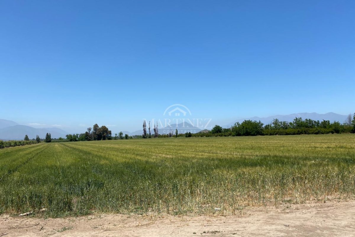 Venta Excelente Terreno Agrícola, Cruz Del Sur, Alto Jahuel