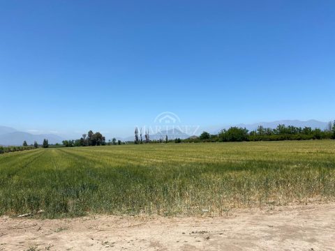 Terreno Venta en Buin — Venta Excelente Terreno Agrícola, Cruz Del Sur, Alto Jahuel