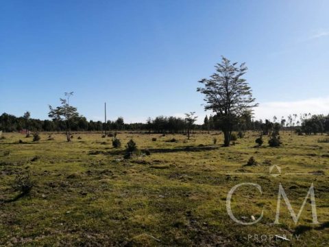 Parcela Venta en Puerto Montt — Se Venden Parcelas En Sector Monteverde Puerto Montt