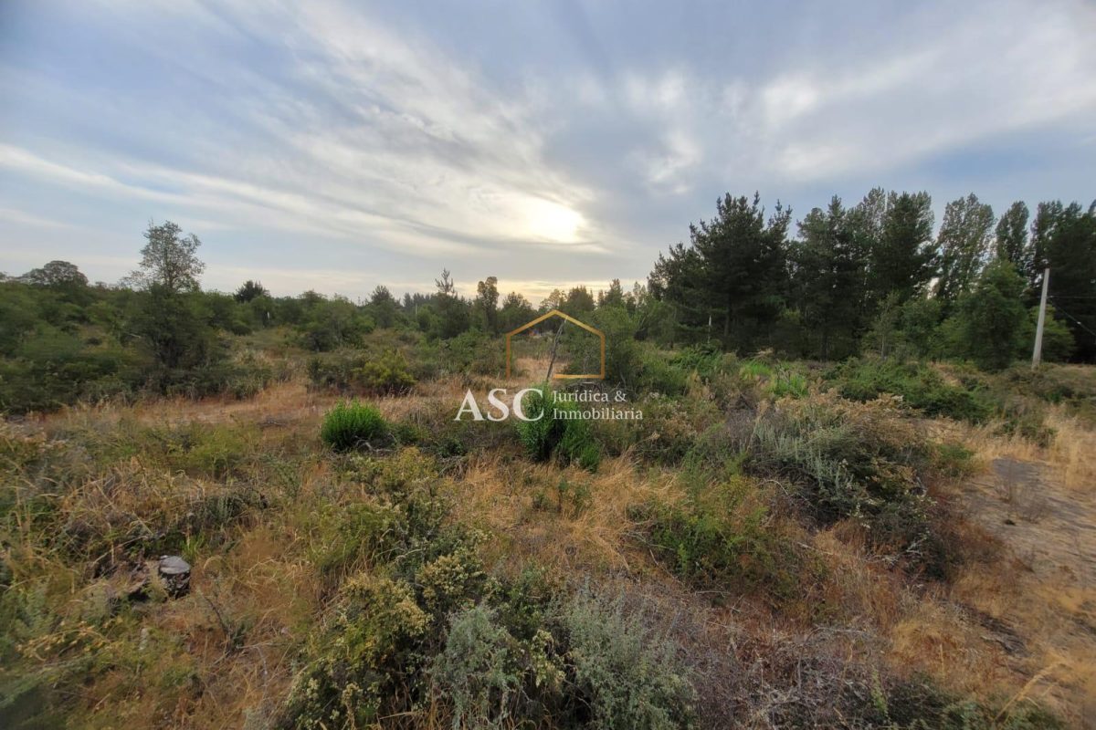 Parcela En Cerro Colorado