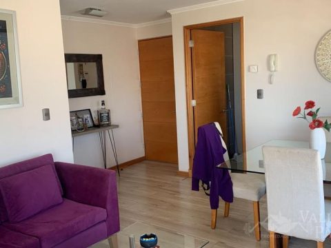 Departamento Venta en Viña del Mar — Venta Depto Sector Oriente Viña Del Mar 2D-2B