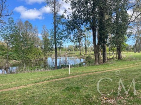 Loteo Venta en Valdivia — Hermosas Parcelas En Valdivia En Sector Pufudi