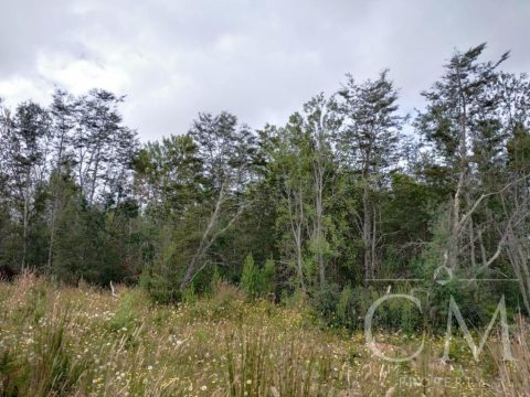 Parcela Venta en Puerto Montt — Se Vende Parcela En Sector Monte Verde Los Lagos