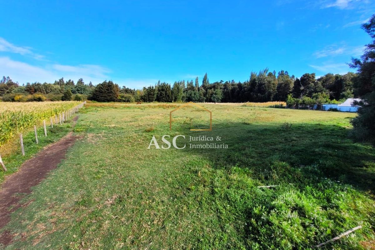 Sector El Agro, Negrete