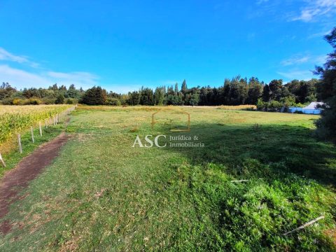 Terreno Venta en Los Ángeles — Sector El Agro, Negrete