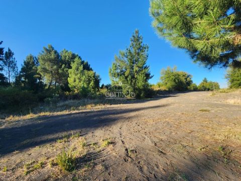 Parcela Venta en Los Ángeles — Se Venden Parcelas Sector La Trancas