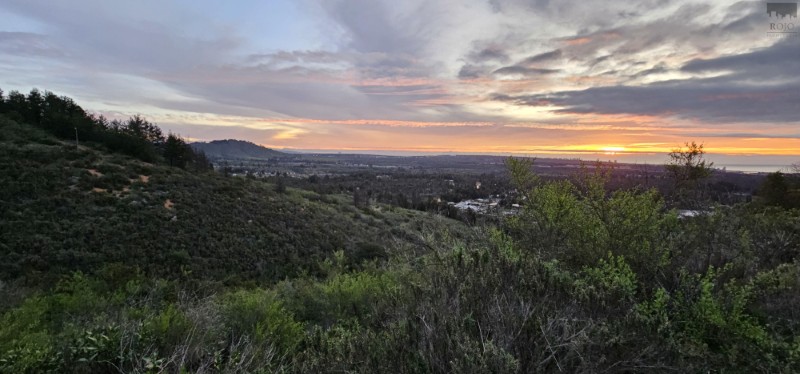 Fuerte Aguayo, Sector Los Peumos, 2 Parcelas, 10.000 M2 En Total