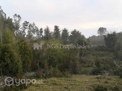 Parcela Venta en Valdivia — Parcela Camino A Punucapa