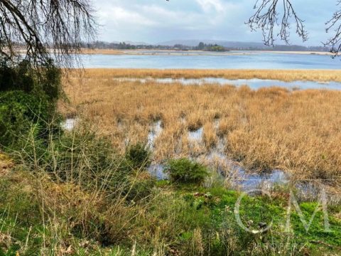Terreno Venta en Valdivia — Sitio Con Hermosa Vista Al Rio Valdivia