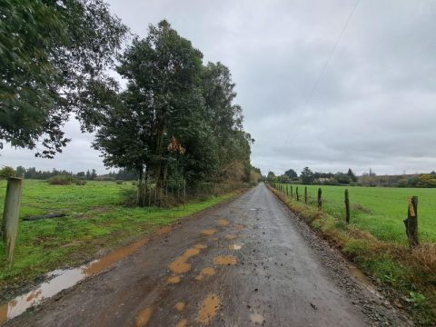 Terreno Venta en Los Ángeles — Se Vende Terreno En Paso De Arena, Los Angeles