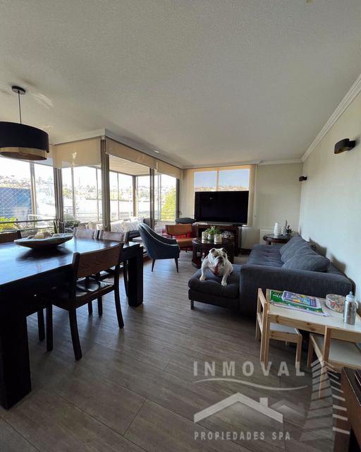 Hermoso Departamento En El Centro De Viña Del Mar.