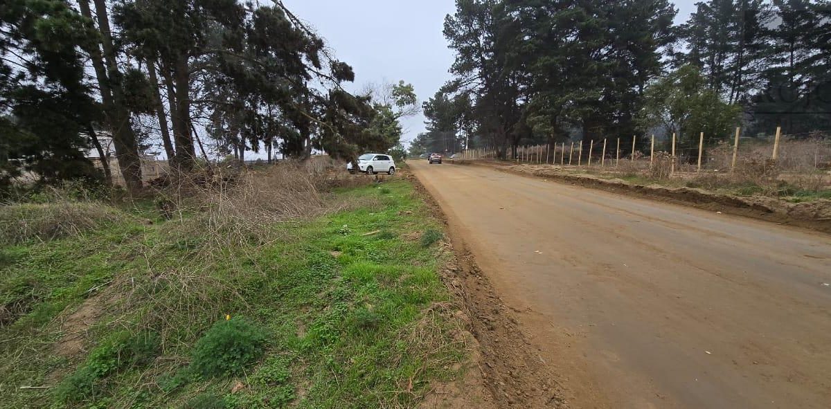 Reñaca, Los Pinos, Terreno 500 M2, A Pasos De Camino Internacional