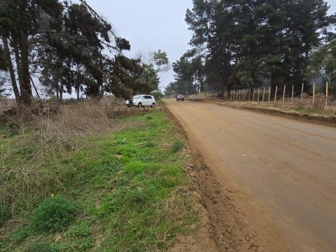 Terreno Venta en Concón — Reñaca, Los Pinos, Terreno 500 M2, A Pasos De Camino Internacional