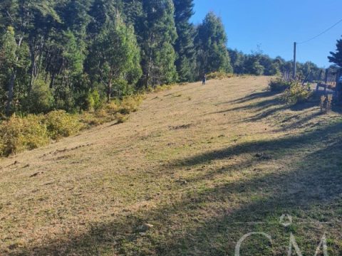 Parcela Venta en Valdivia — Parcela Cercana A Valdivia Sector Rincon De La Piedra