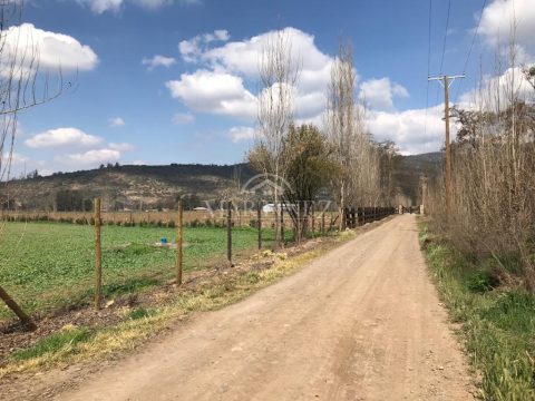 Parcela Venta en Paine — 4 Hectãƒâ¡Reas En Vinculo ( Camino Laguna Aculeo)
