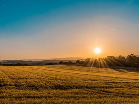 Parcela Venta en Buin, Región Metropolitana — Parcela 8.000m² Zona Rural con Luz y Agua, Buin