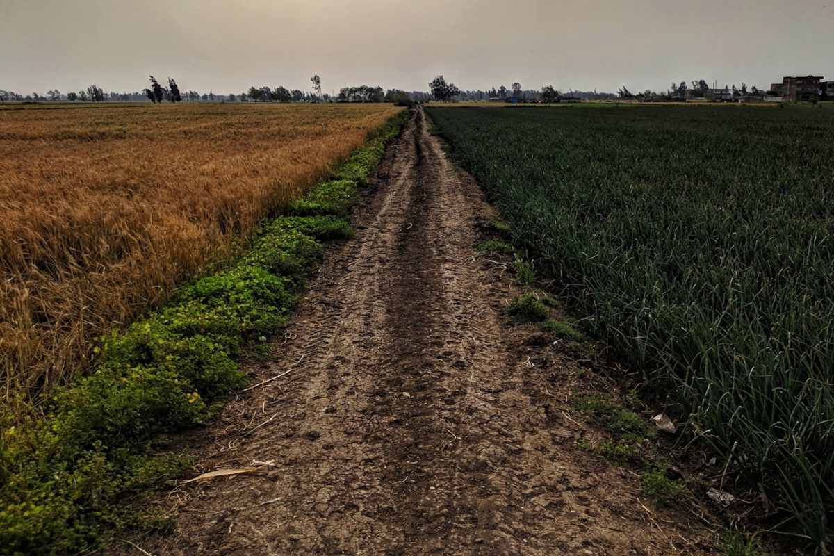Terreno rural en el campo chileno, tipo parcela de agrado