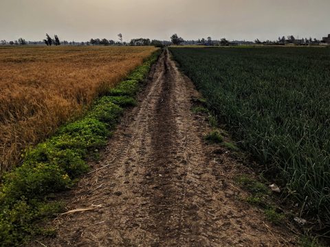 Terreno rural en el campo chileno, tipo parcela de agrado