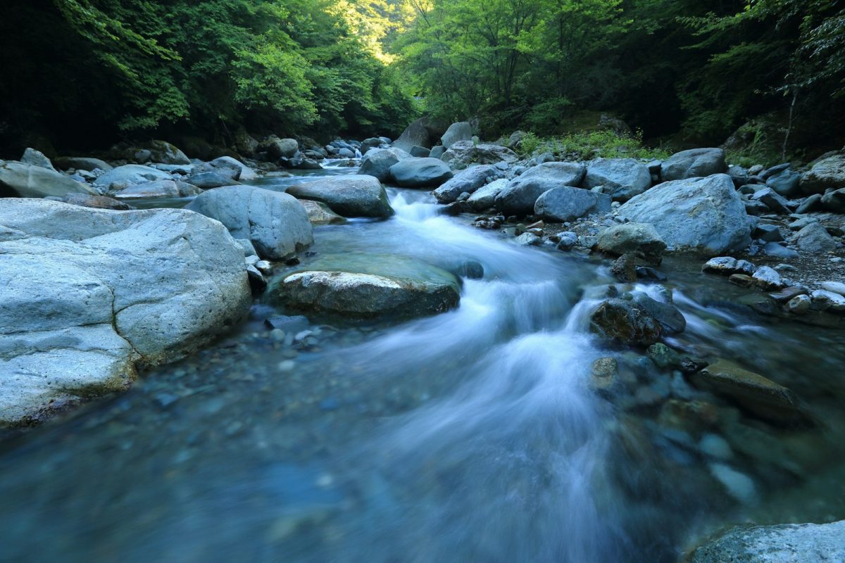 Estero de agua entre rocas en un terreno rural