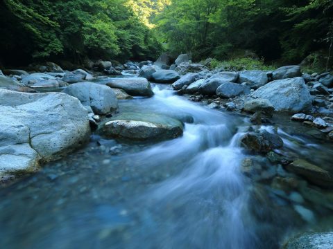 Estero de agua entre rocas en un terreno rural