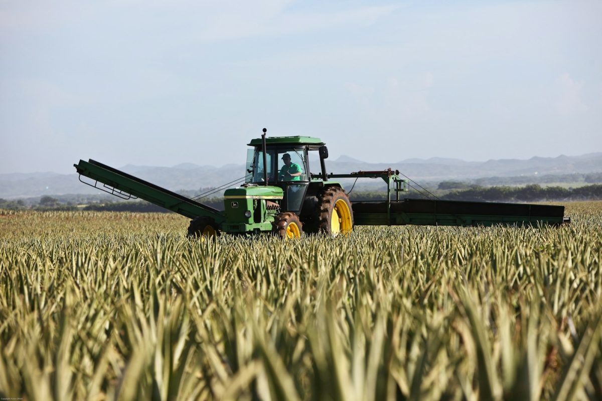 Camino y terreno rural con maquinaria agrícola