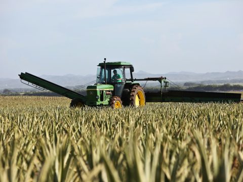 Camino y terreno rural con maquinaria agrícola