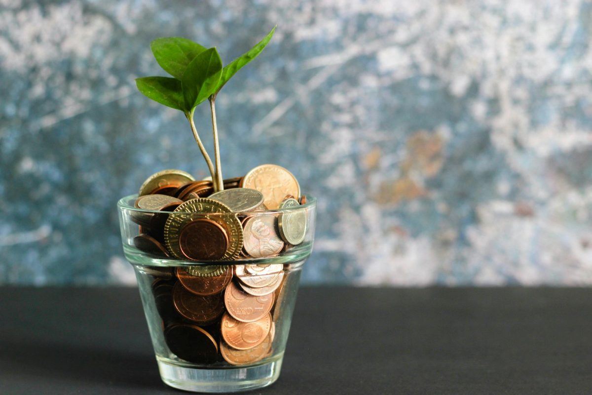 Monedas y una planta que crece, simbolo de inversion