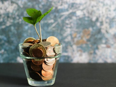 Monedas y una planta que crece, simbolo de inversion