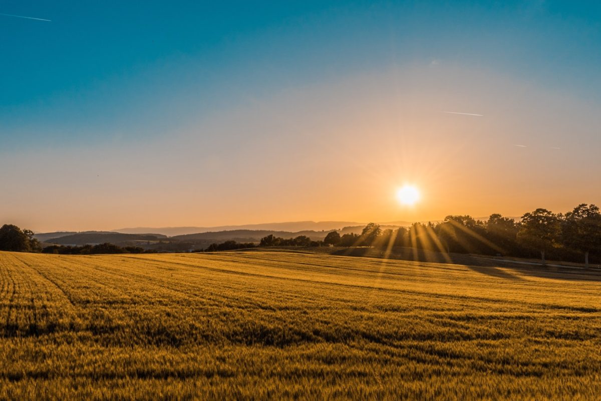 Terreno rural y campo al atardecer