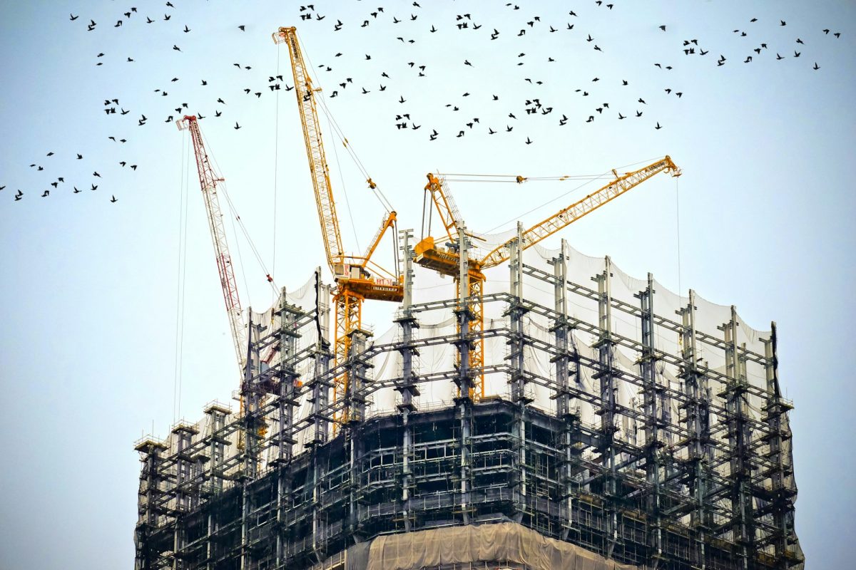 Grúas en una obra de construcción de edificios